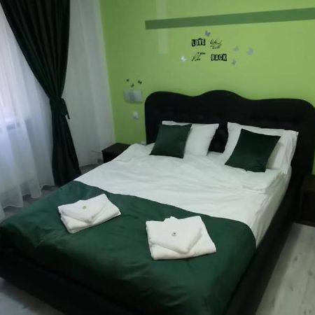 Ana Lux Apartments 布拉索夫 外观 照片