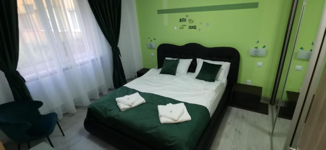 Ana Lux Apartments 布拉索夫 外观 照片