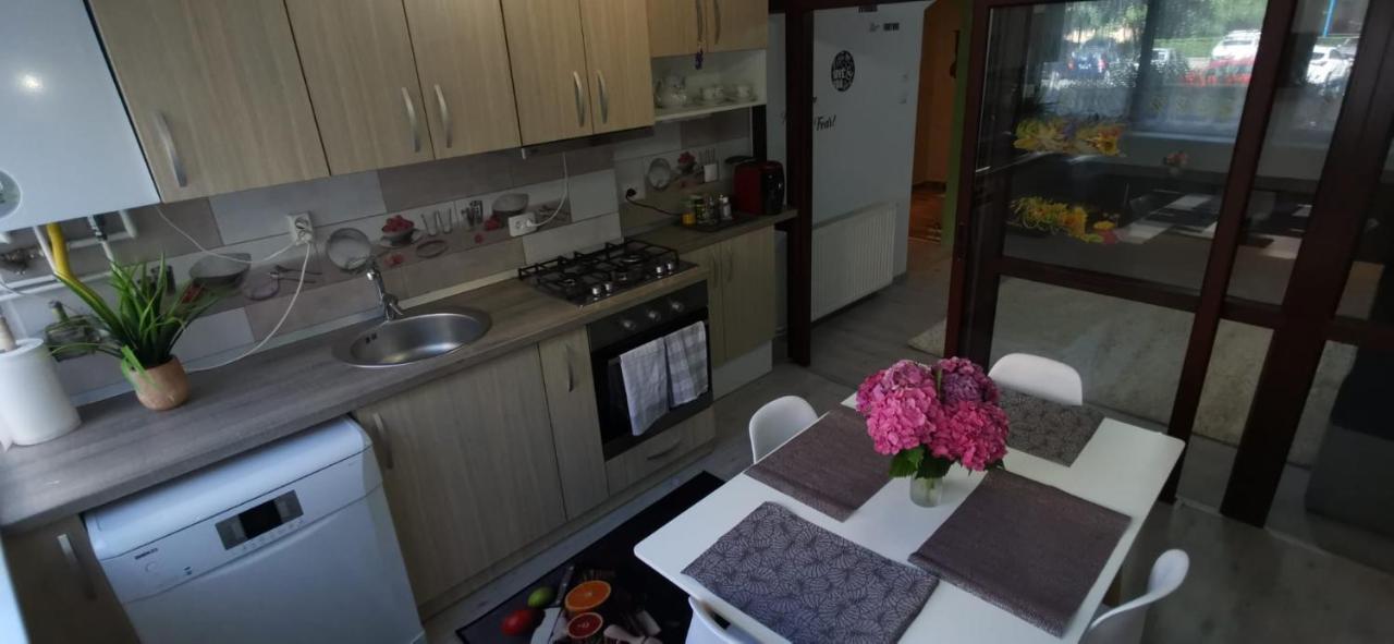 Ana Lux Apartments 布拉索夫 外观 照片