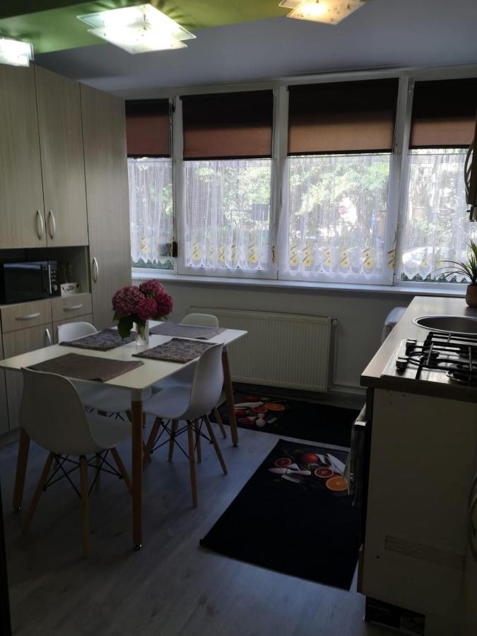 Ana Lux Apartments 布拉索夫 外观 照片
