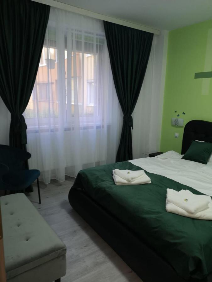Ana Lux Apartments 布拉索夫 外观 照片