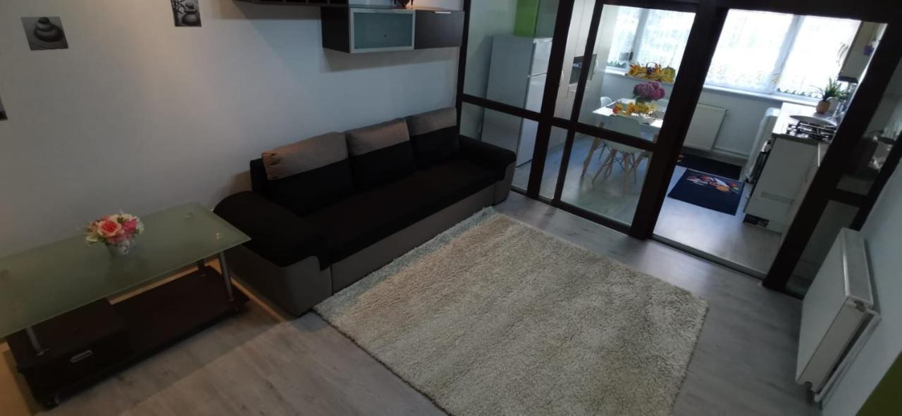 Ana Lux Apartments 布拉索夫 外观 照片