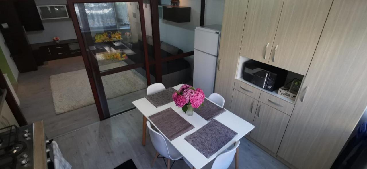 Ana Lux Apartments 布拉索夫 外观 照片