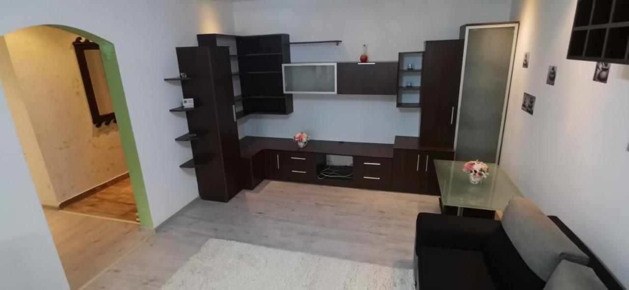 Ana Lux Apartments 布拉索夫 外观 照片